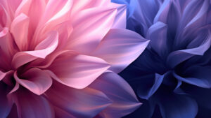 A background of petals colseup in tones of rose and purple