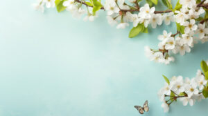 A cherry blossom background representing the Spring concept with a large copy space